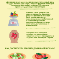 Инфографика 5 порций для вашего здоровья